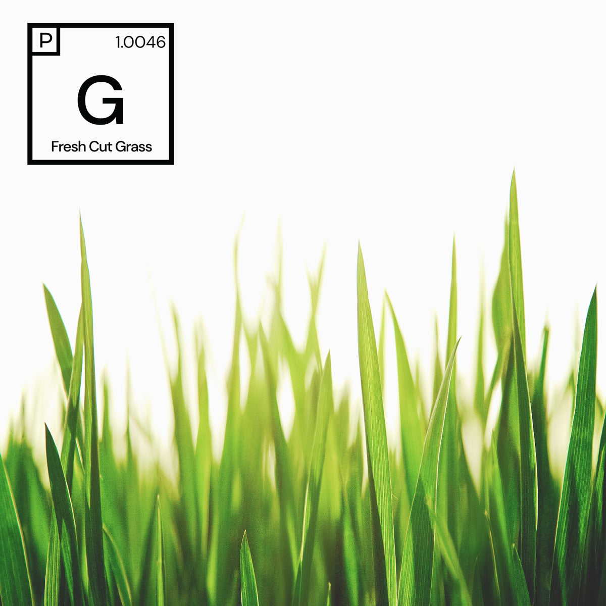 Fresh Cut Grass Fragrance 1.0046 Fragrances 2 Order Inc.