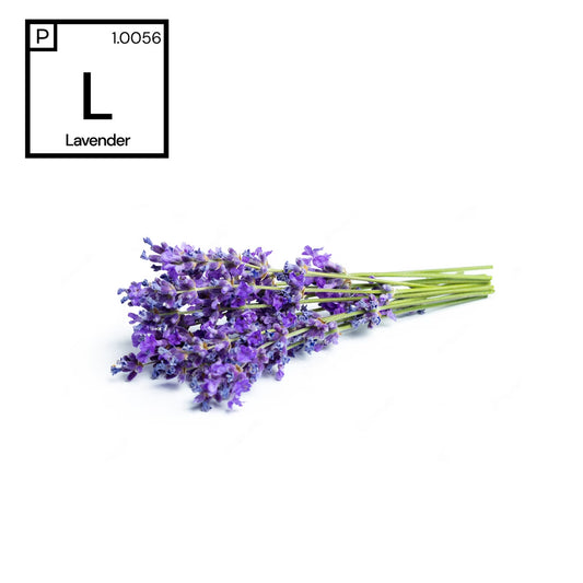 Lavender Fragrance #1.0056