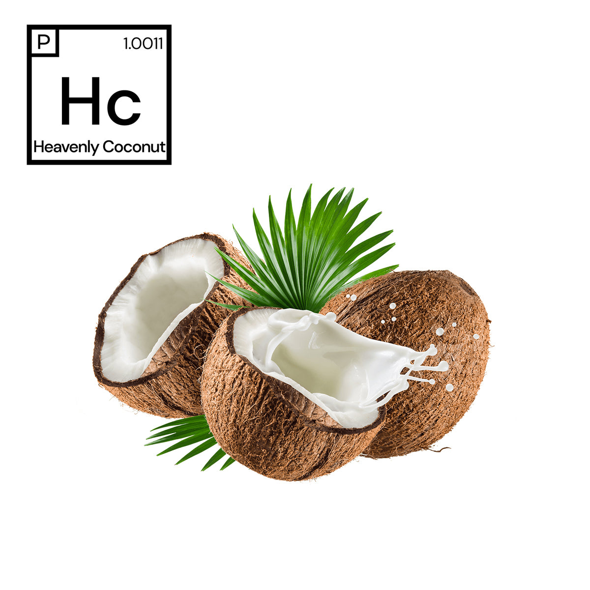 Heavenly Coconut Fragrance #1.0011