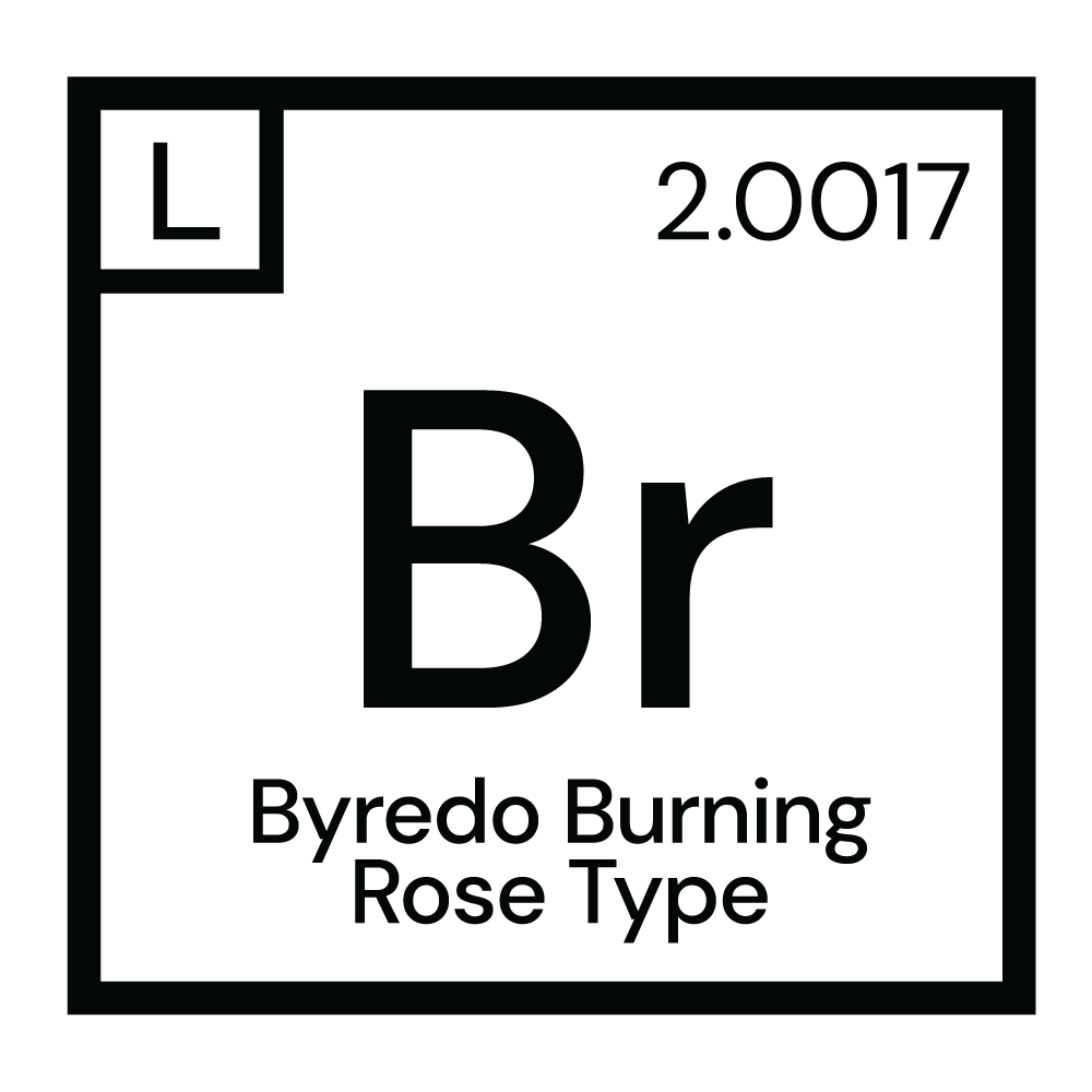BYREDO Burning Rose Type Fragrance #2.0017