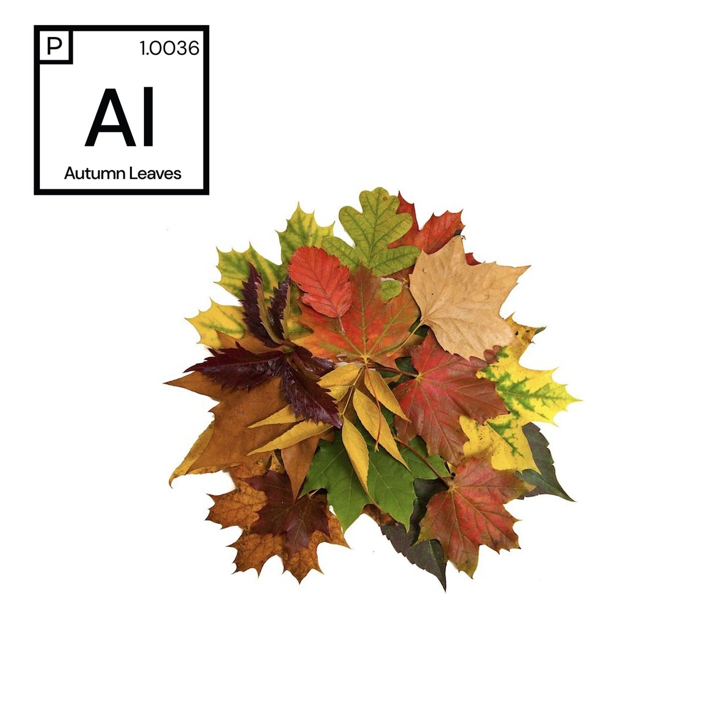 Autumn Leaves Fragrance #1.0036