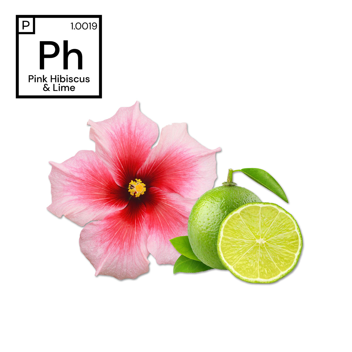 Pink Hibiscus & Lime Fragrance #1.0019
