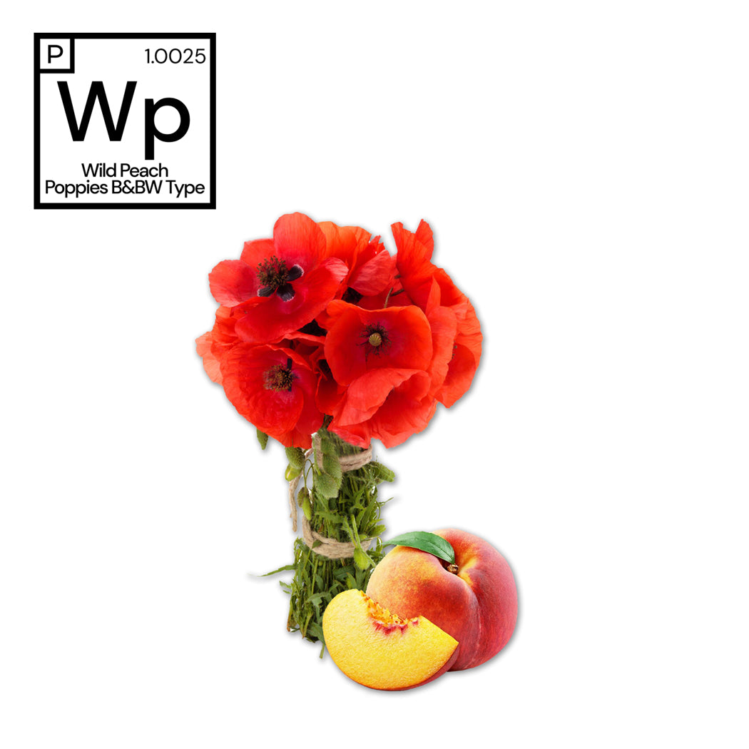 Wild Peach Poppies B&BW Type Fragrance #1.0025